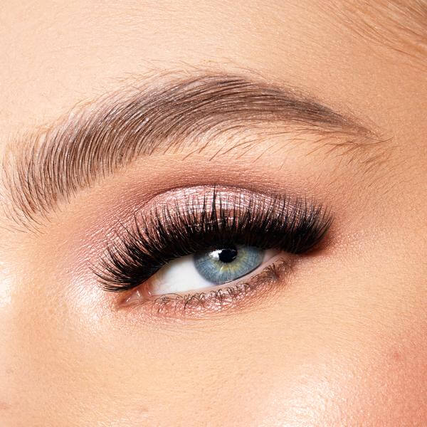 LACE IT UP PROMO !! 15e au lieu 19.95e